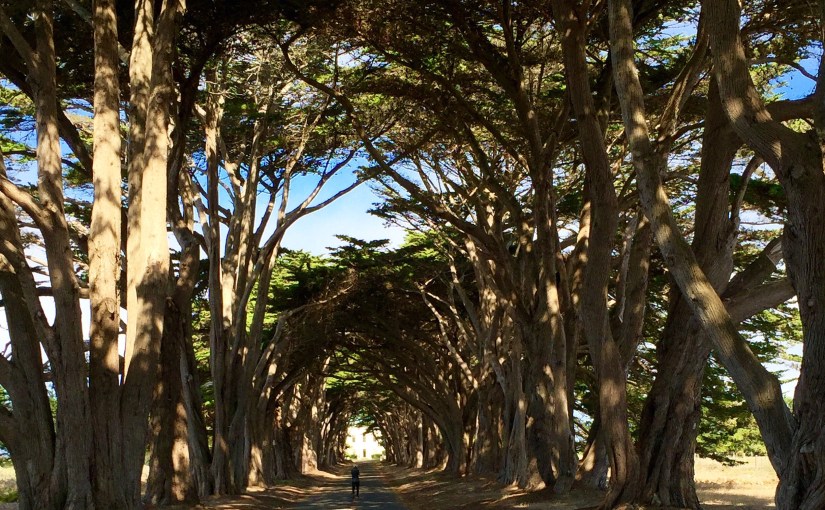 Seven Elements of Biblical&nbsp;Repentance