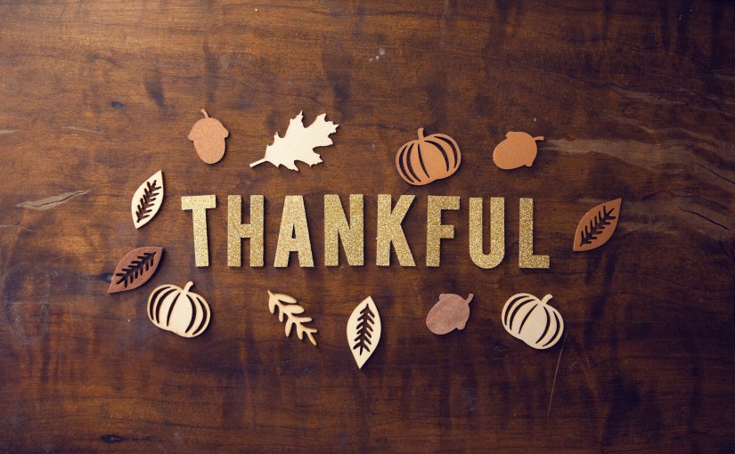 Cultivate Gratitude this&nbsp;November
