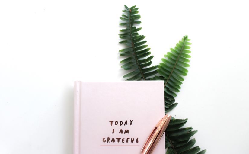 Five Ways David Gave Thanks: November Gratitude Reading Plan (Day&nbsp;28)