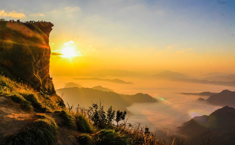 All Creation Sings His Praise: Gratitude Reading Plan (Day&nbsp;27)