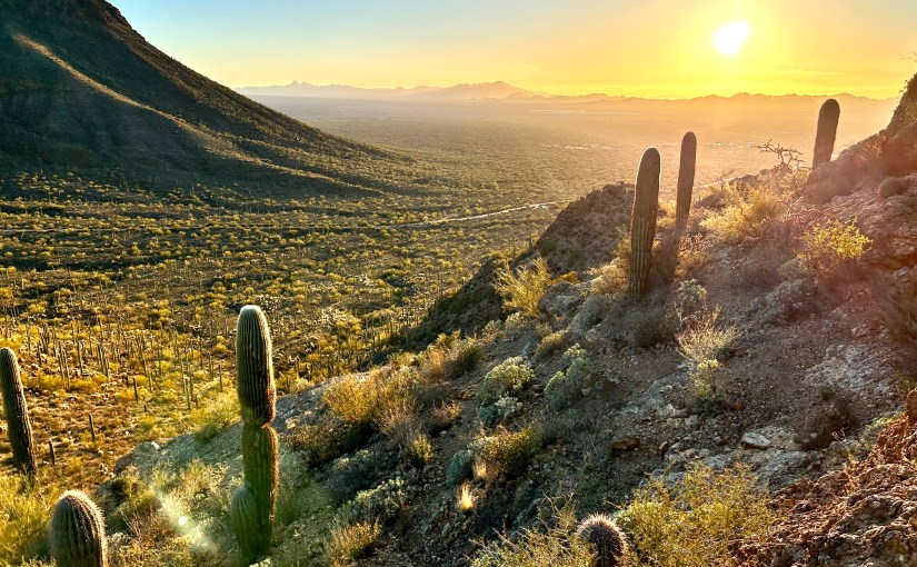 Don’t Lose Hope in&nbsp;Hardship