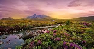 The Joy of God in Psalm&nbsp;104